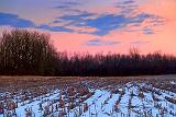 Winter Field At Sunrise_33376